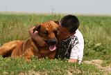 ENFANT ET CHIEN 384